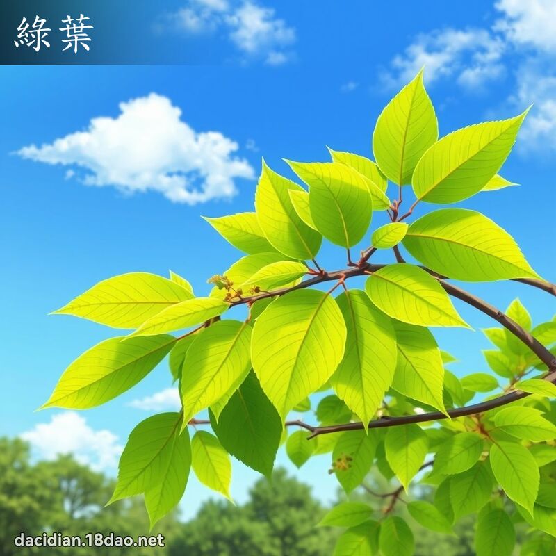 绿叶 - 国语大辞典配图