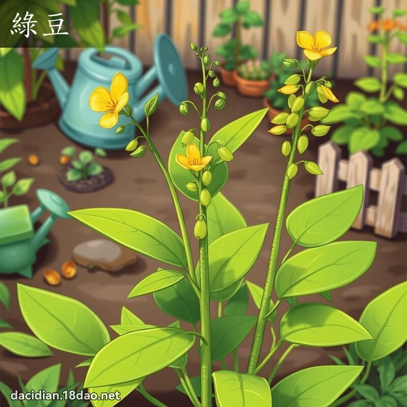 綠豆 - 國語大辭典配圖