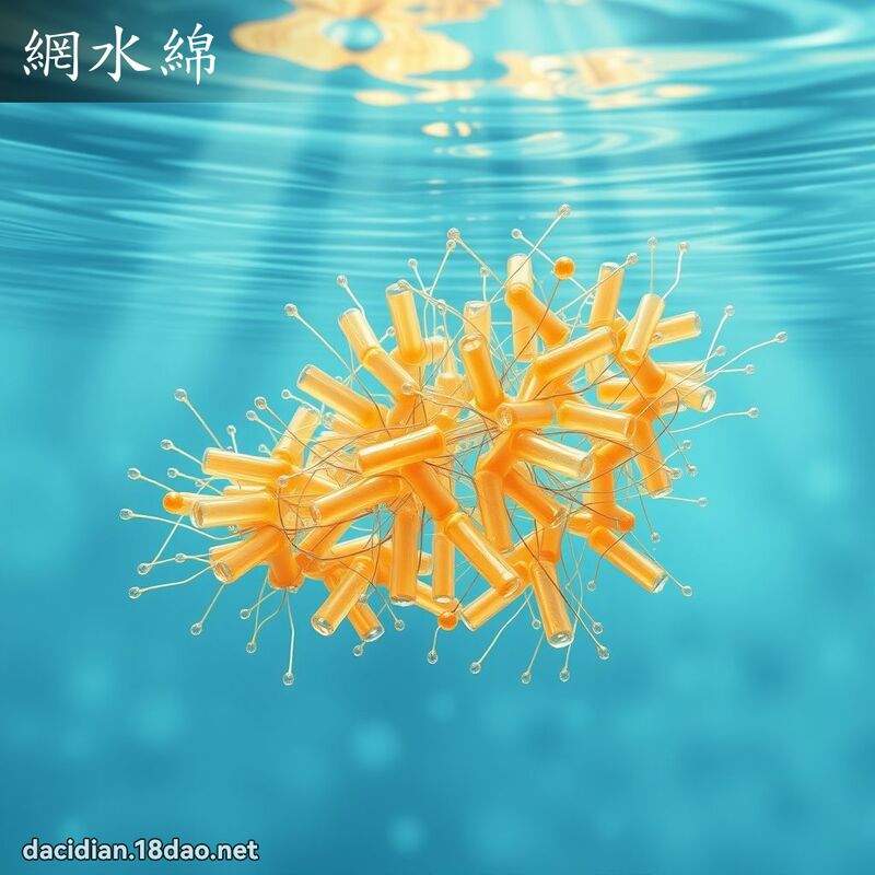 网水绵 - 国语大辞典配图
