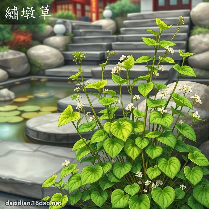 繡墩草 - 國語大辭典配圖