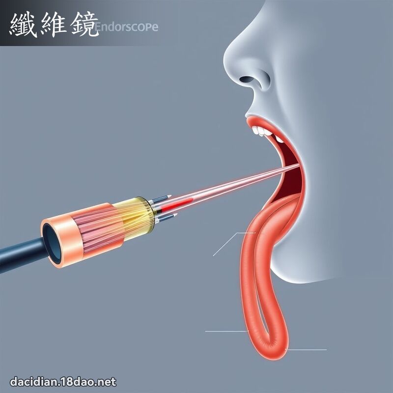 纤维镜 - 国语大辞典配图