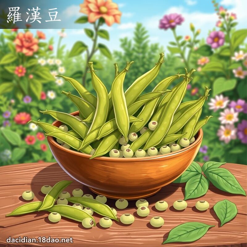 羅漢豆 - 國語大辭典配圖