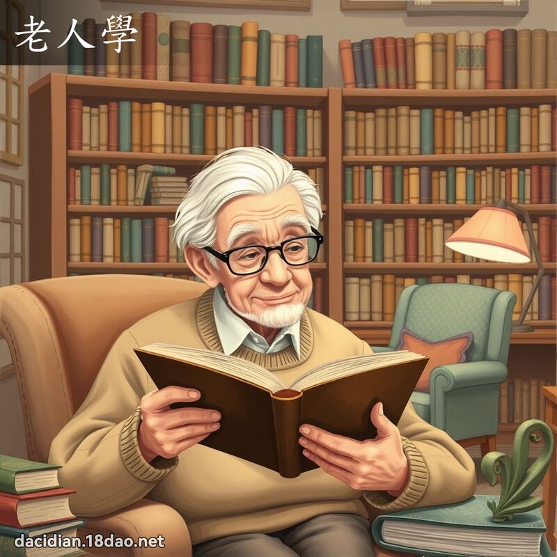 老人学 - 国语大辞典配图