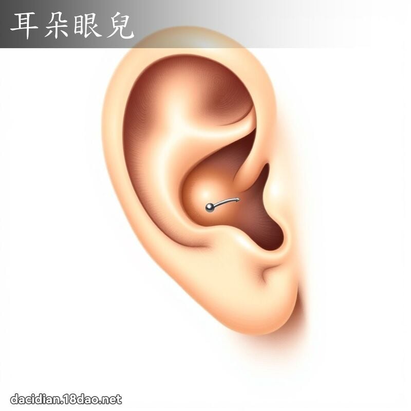 耳朵眼兒 - 國語大辭典配圖