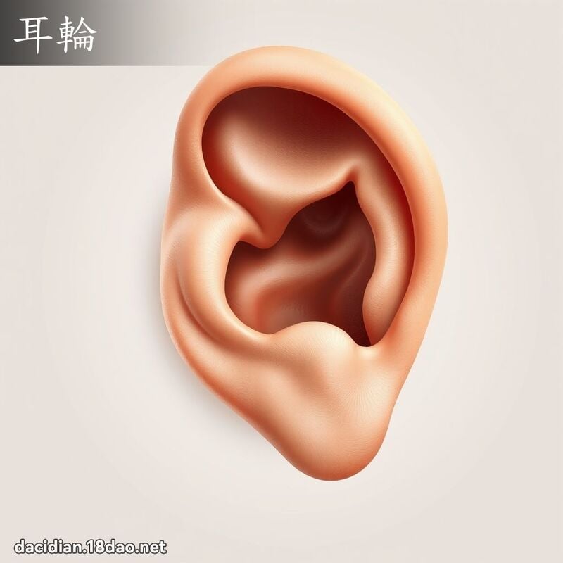 耳輪 - 國語大辭典配圖