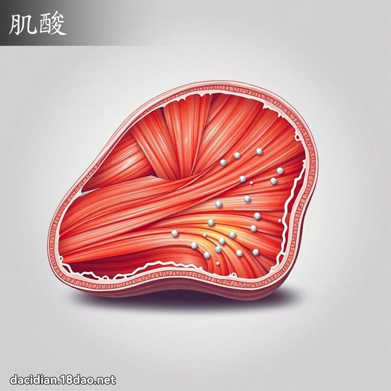 肌酸 - 国语大辞典配图
