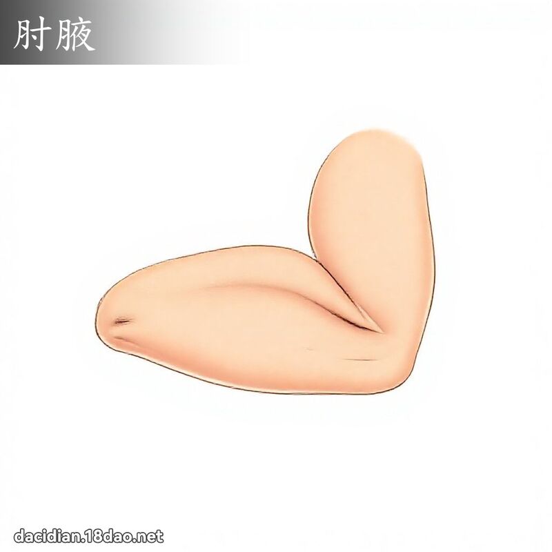 肘腋 - 国语大辞典配图