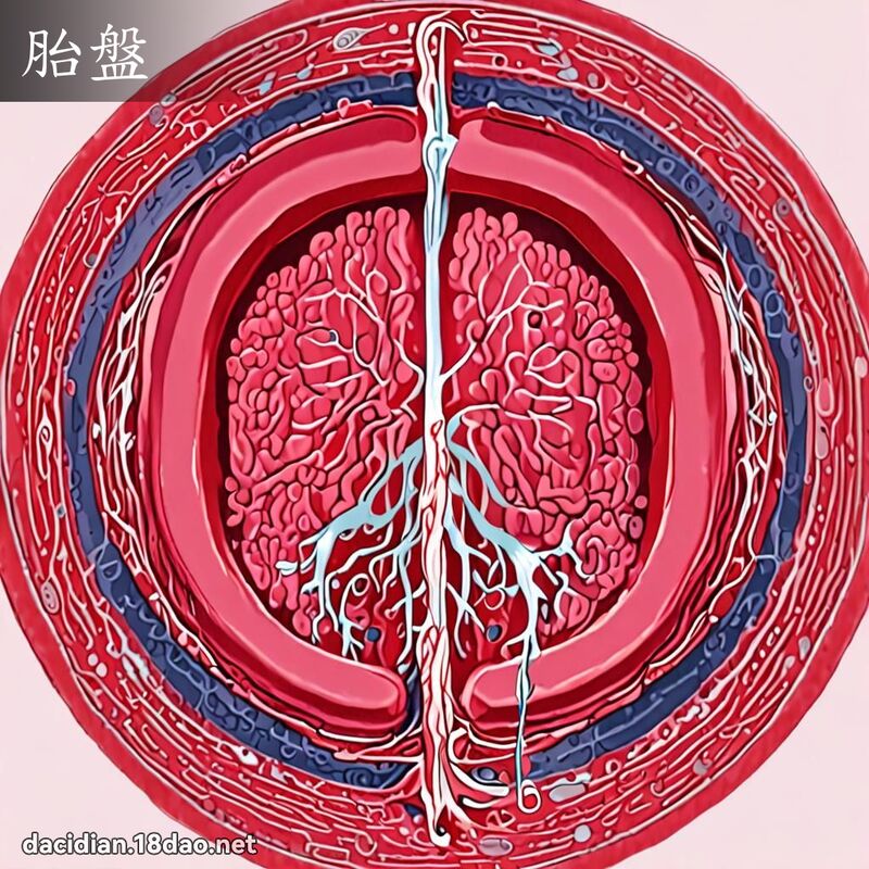 胎盤 - 國語大辭典配圖