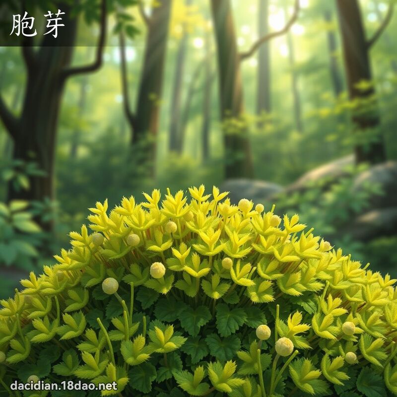 胞芽 - 國語大辭典配圖