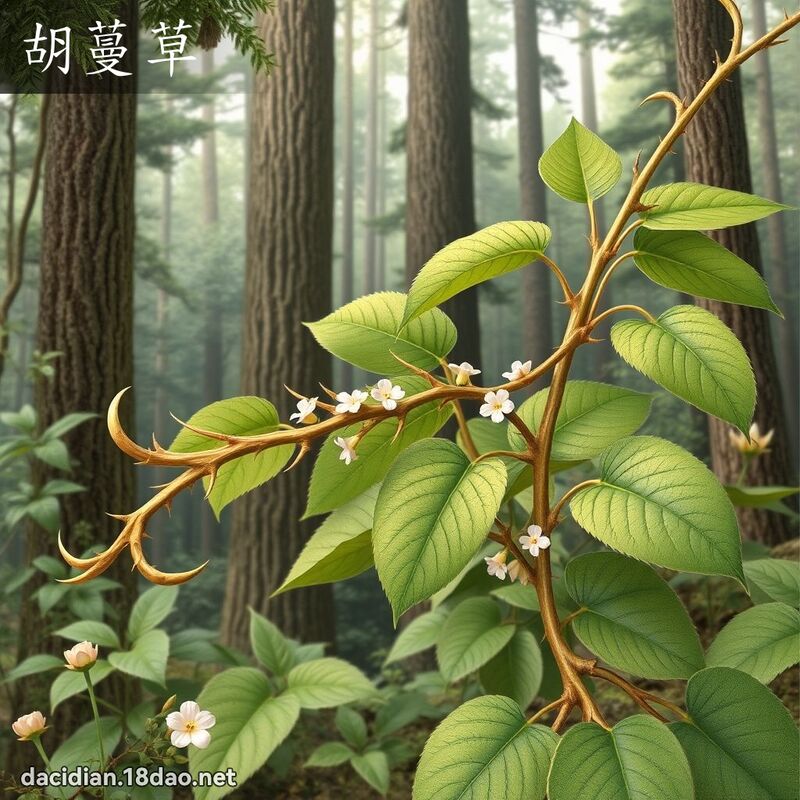 胡蔓草 - 国语大辞典配图