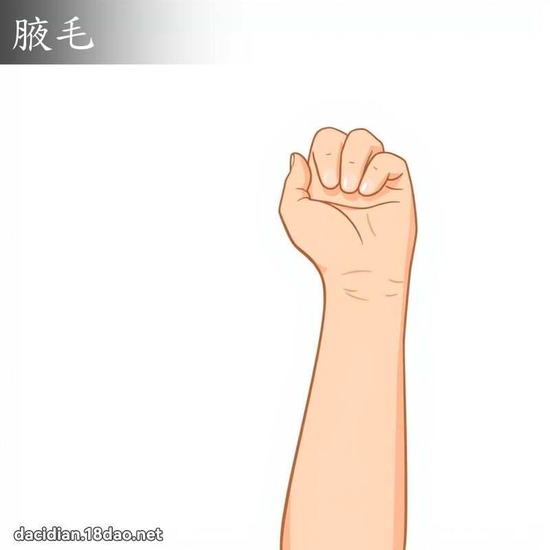 腋毛 - 國語大辭典配圖