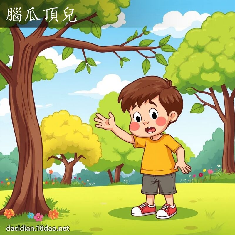脑瓜顶儿 - 国语大辞典配图