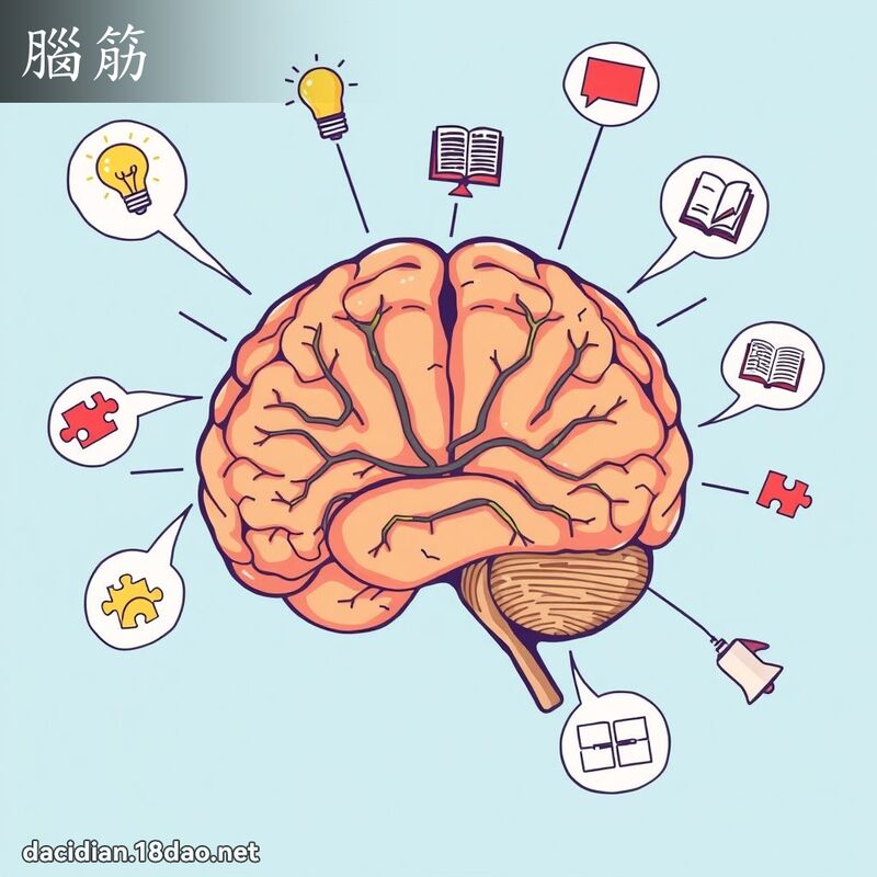 脑筋 - 国语大辞典配图