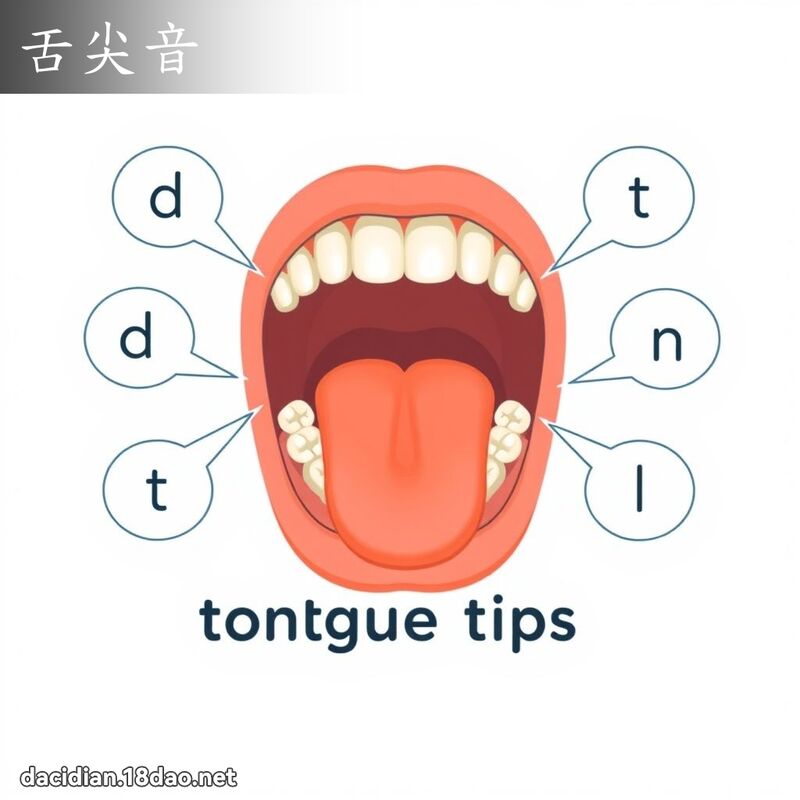 舌尖音 - 国语大辞典配图