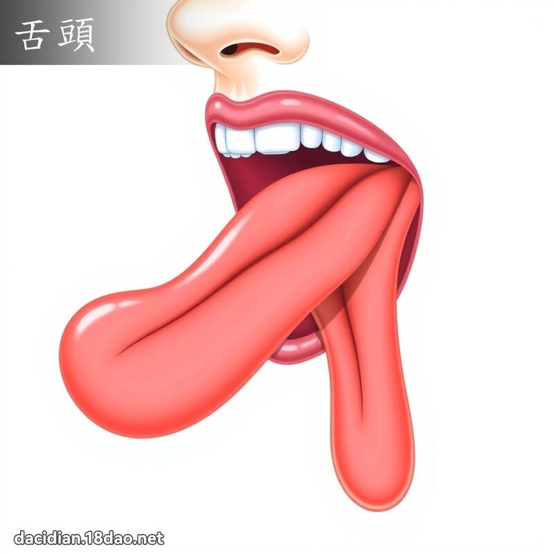 舌頭 - 國語大辭典配圖