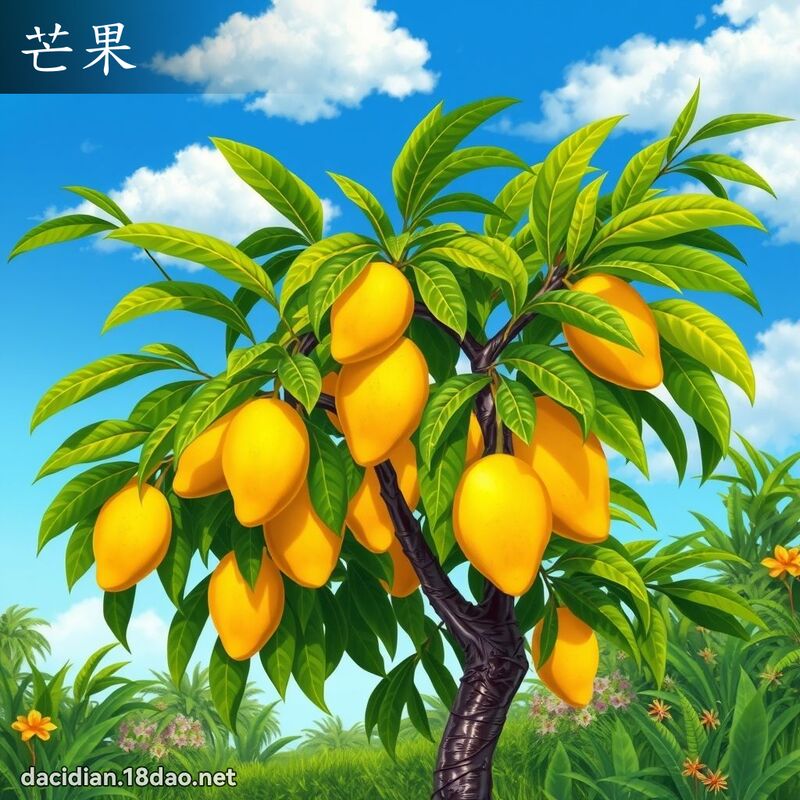 芒果 - 国语大辞典配图