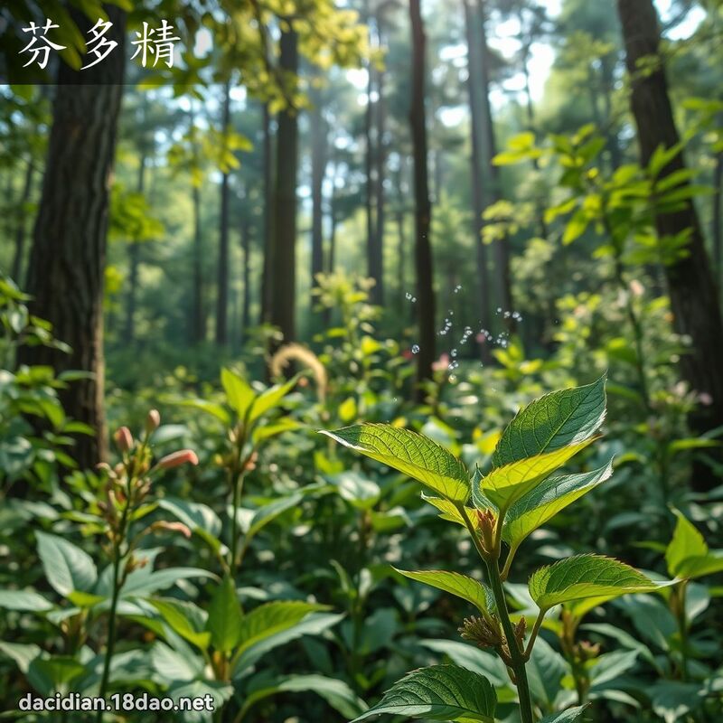 芬多精 - 國語大辭典配圖