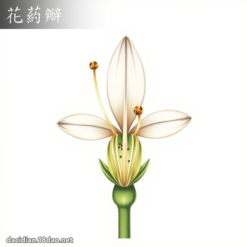 花葯瓣 - 國語大辭典配圖