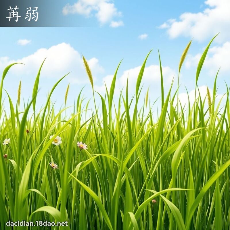 苒弱 - 國語大辭典配圖