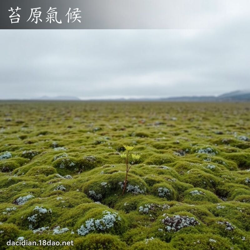 苔原氣候 - 國語大辭典配圖