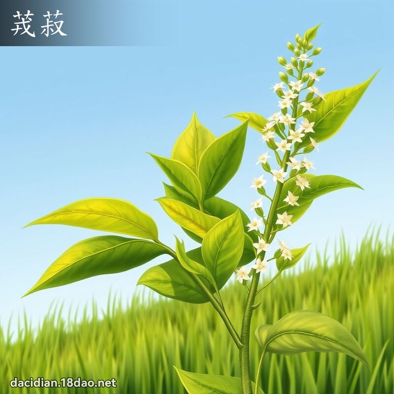 茙菽 - 國語大辭典配圖