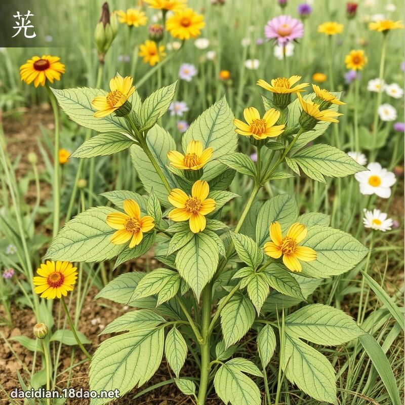 茪 - 國語大辭典配圖