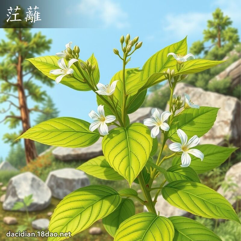 茳蘺 - 國語大辭典配圖