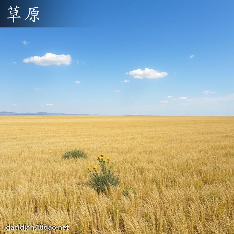 草原 - 國語大辭典配圖