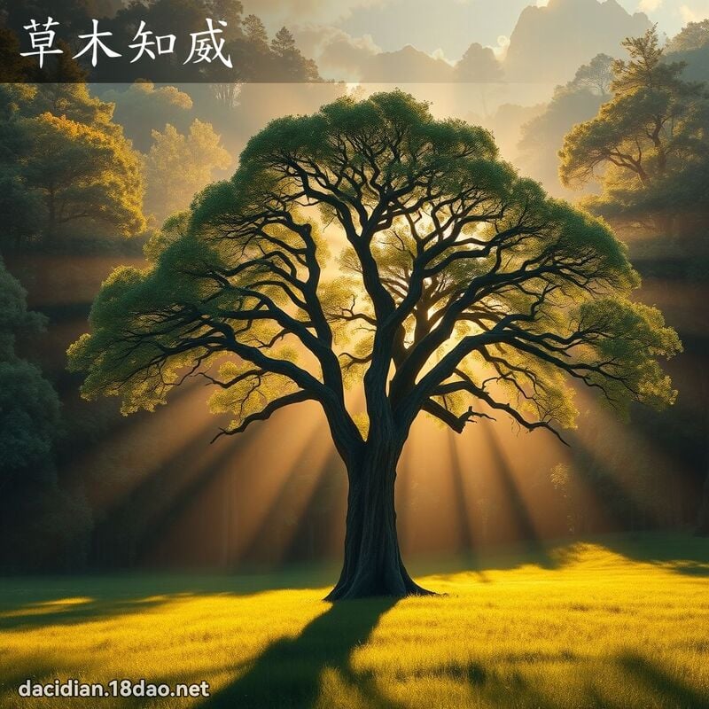 草木知威 - 國語大辭典配圖