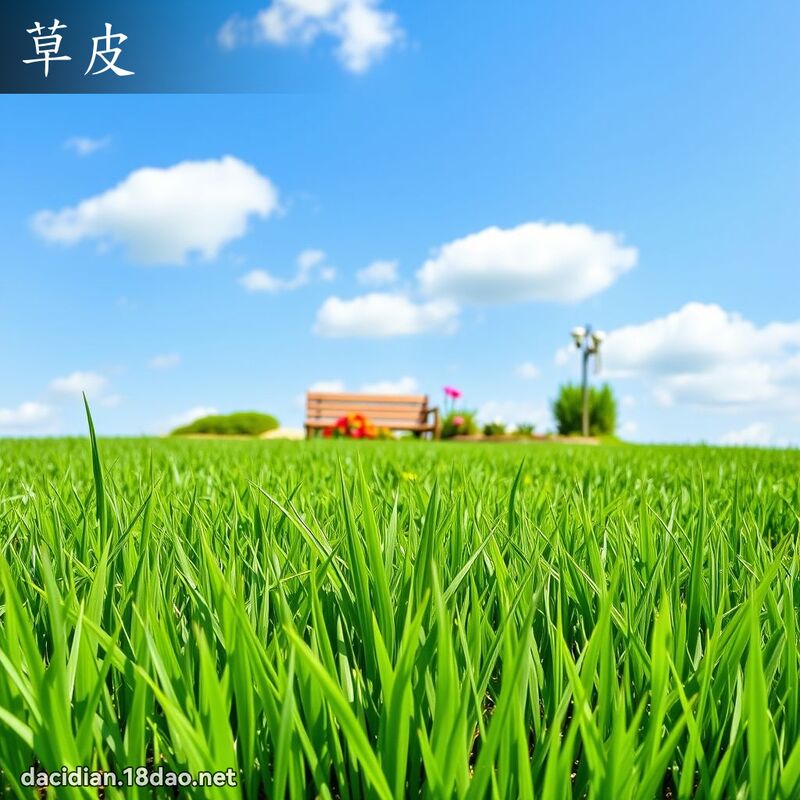 草皮 - 国语大辞典配图