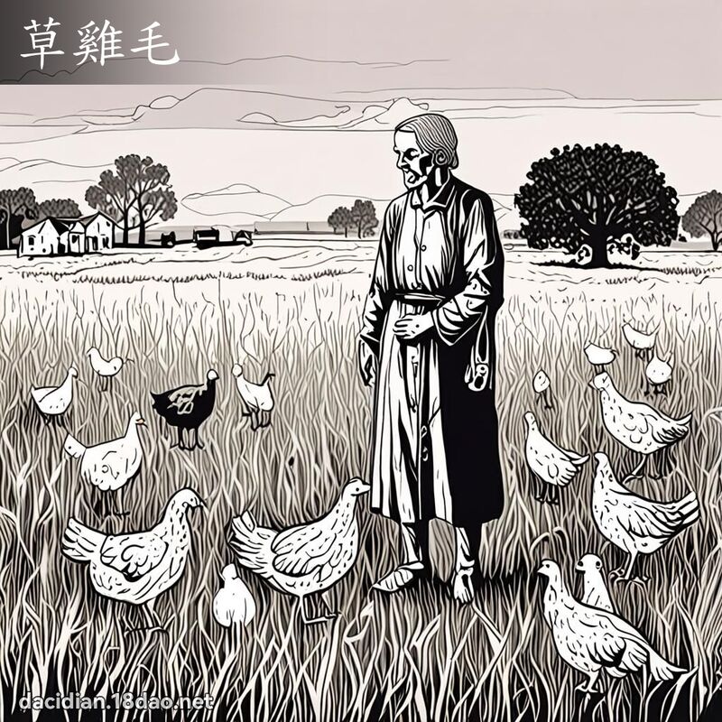 草雞毛 - 國語大辭典配圖