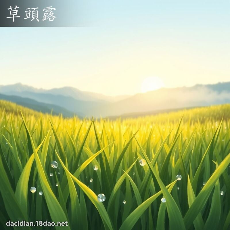 草头露 - 国语大辞典配图
