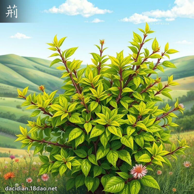 荆 - 国语大辞典配图