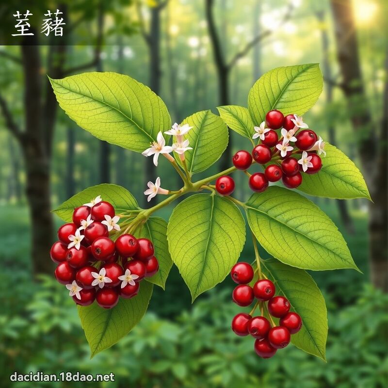 荎藸 - 國語大辭典配圖