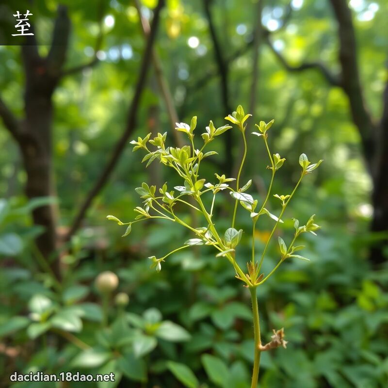 荎 - 國語大辭典配圖