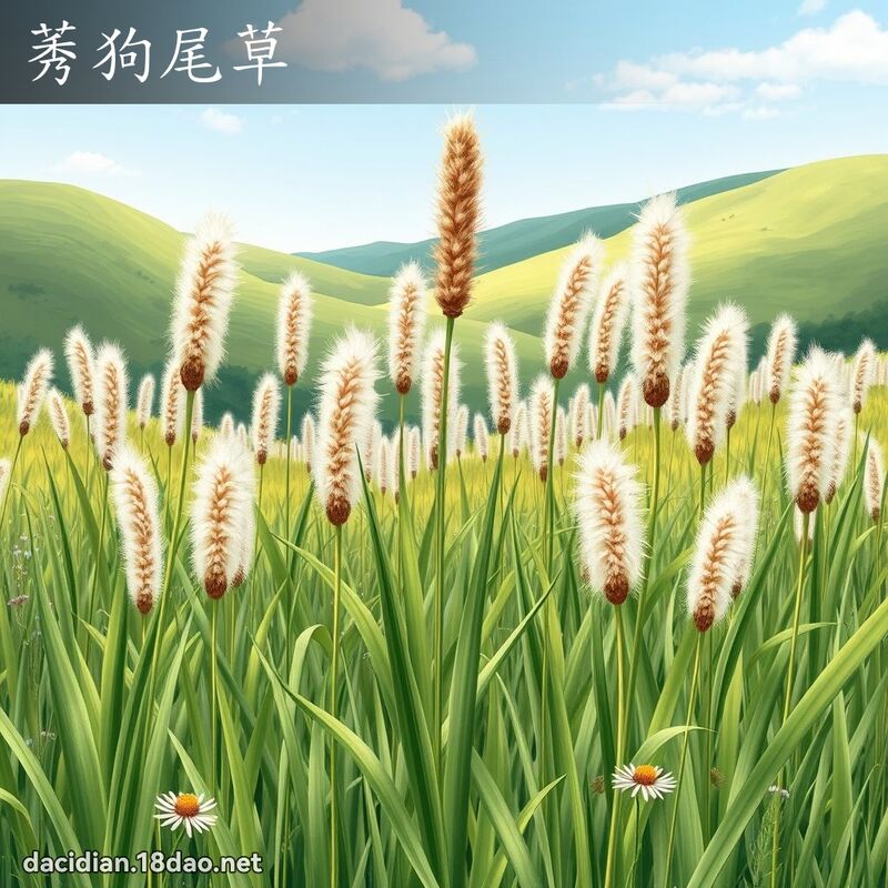 莠狗尾草 - 國語大辭典配圖
