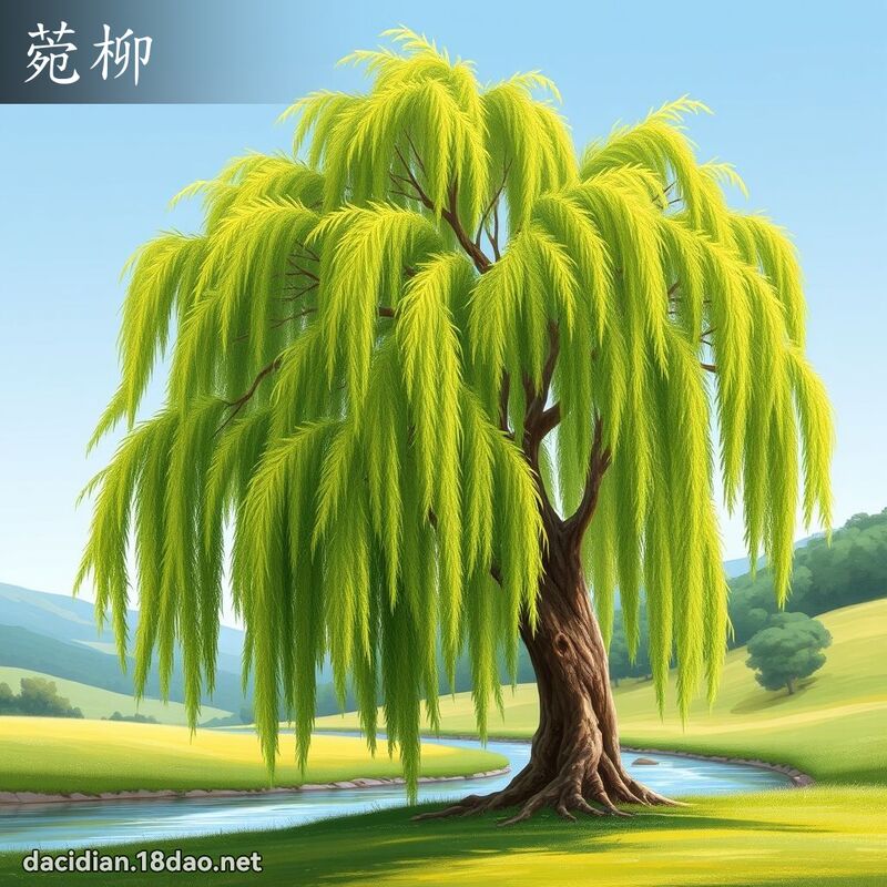 菀柳 - 國語大辭典配圖