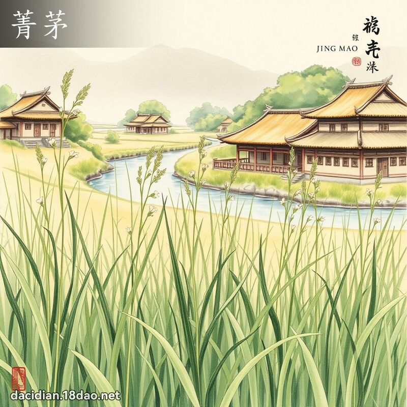 菁茅 - 国语大辞典配图