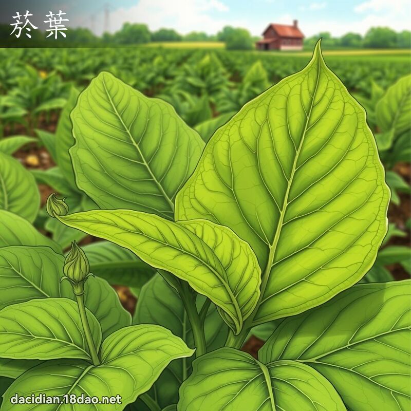 菸葉 - 國語大辭典配圖