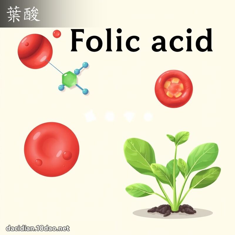 叶酸 - 国语大辞典配图