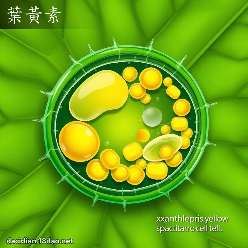 葉黃素 - 國語大辭典配圖