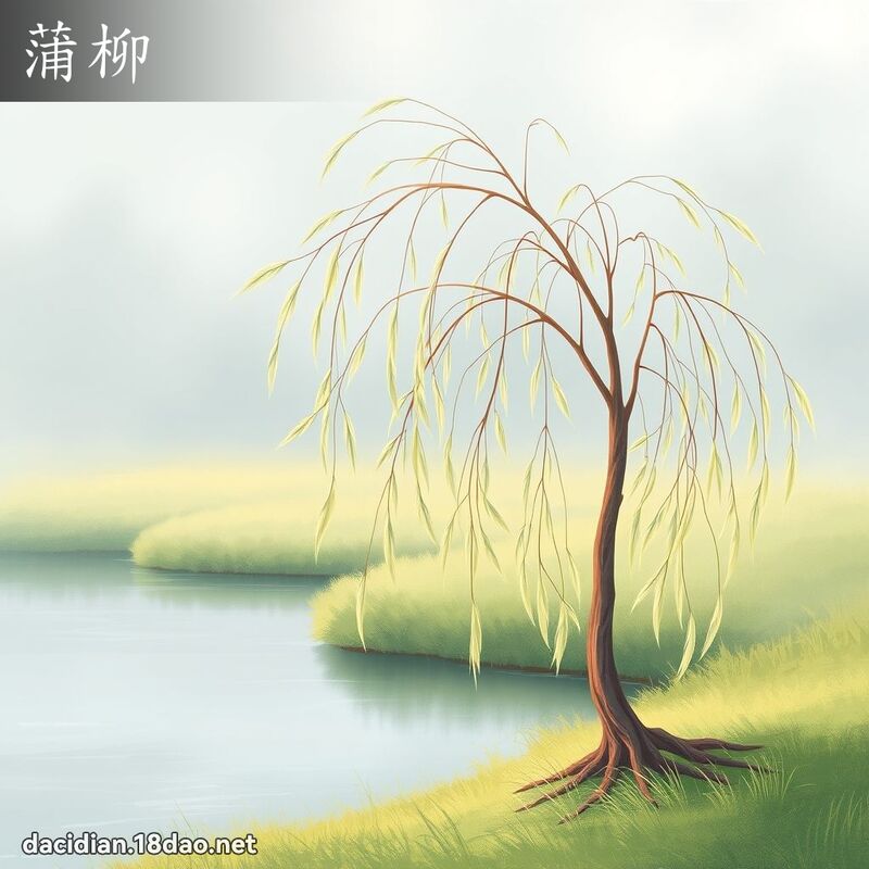 蒲柳 - 國語大辭典配圖