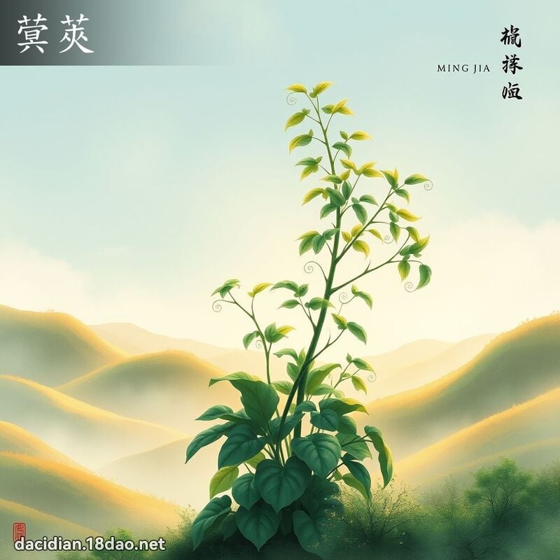 蓂莢 - 國語大辭典配圖