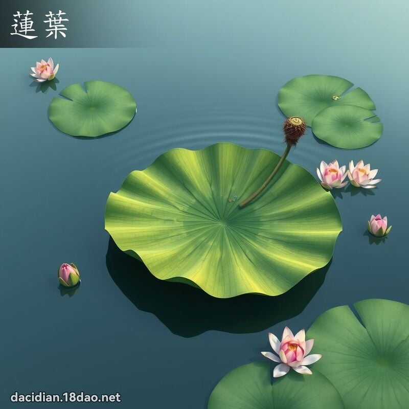 莲叶 - 国语大辞典配图