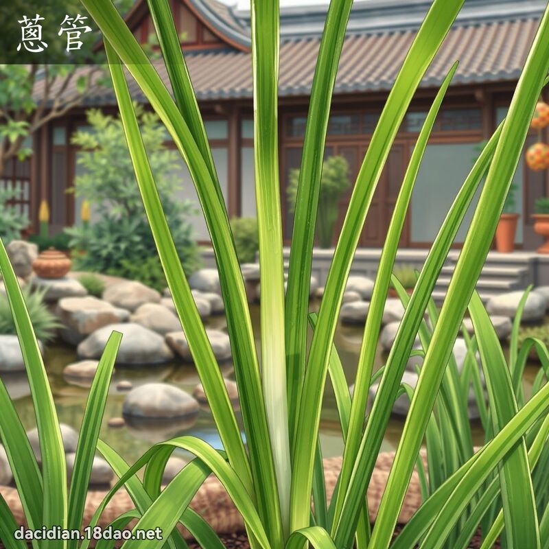 蔥管 - 國語大辭典配圖