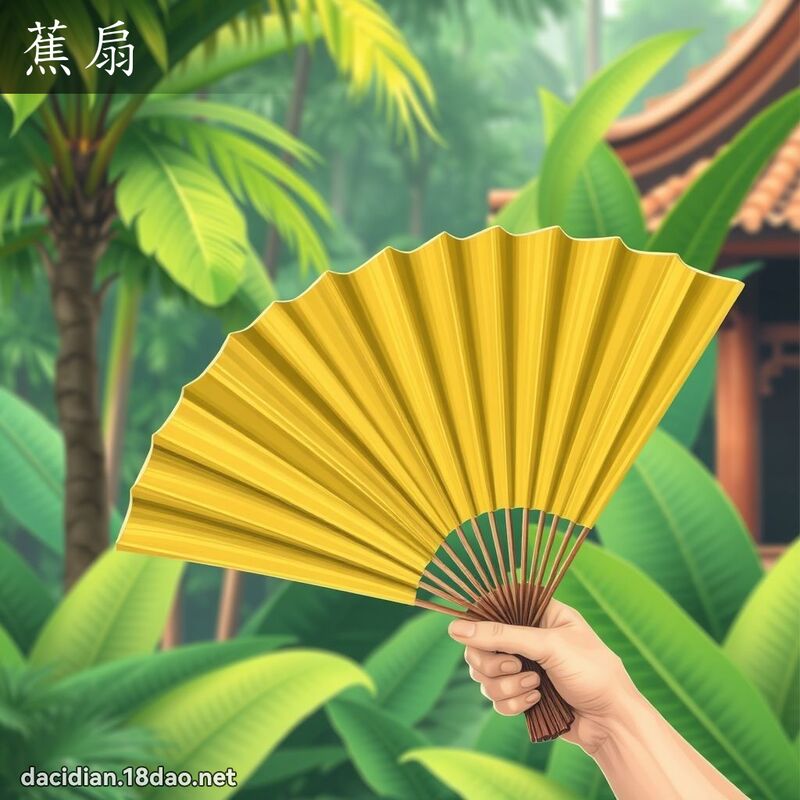 蕉扇 - 國語大辭典配圖