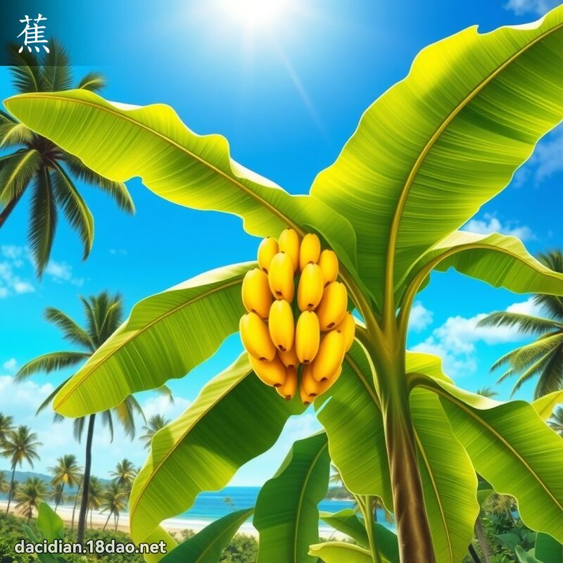 漢字: 蕉 (多音字)