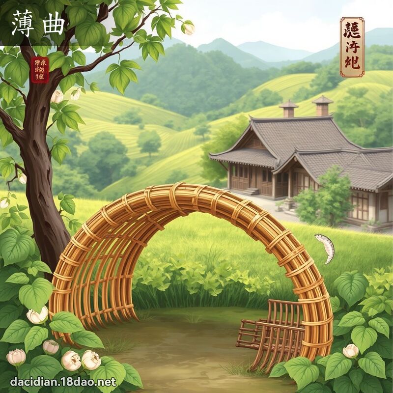 薄曲 - 國語大辭典配圖