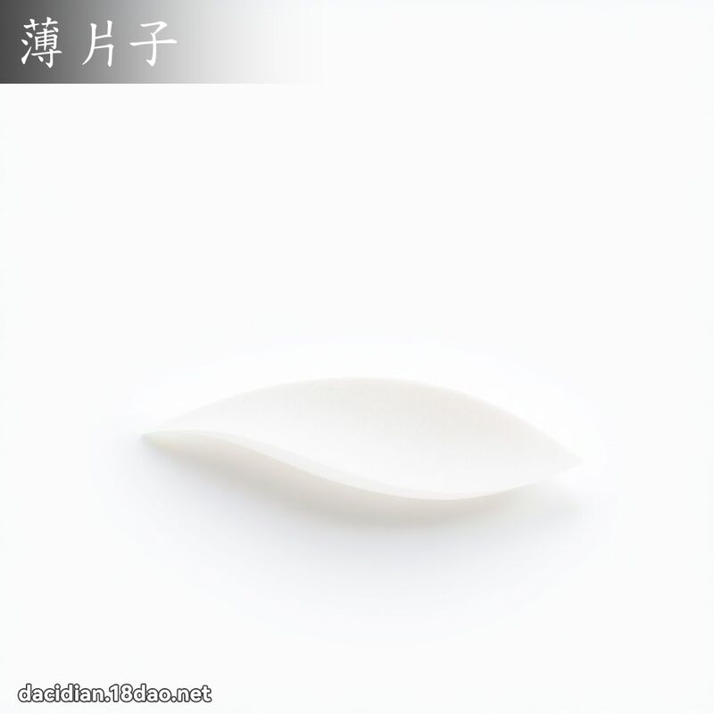 薄片子 - 国语大辞典配图