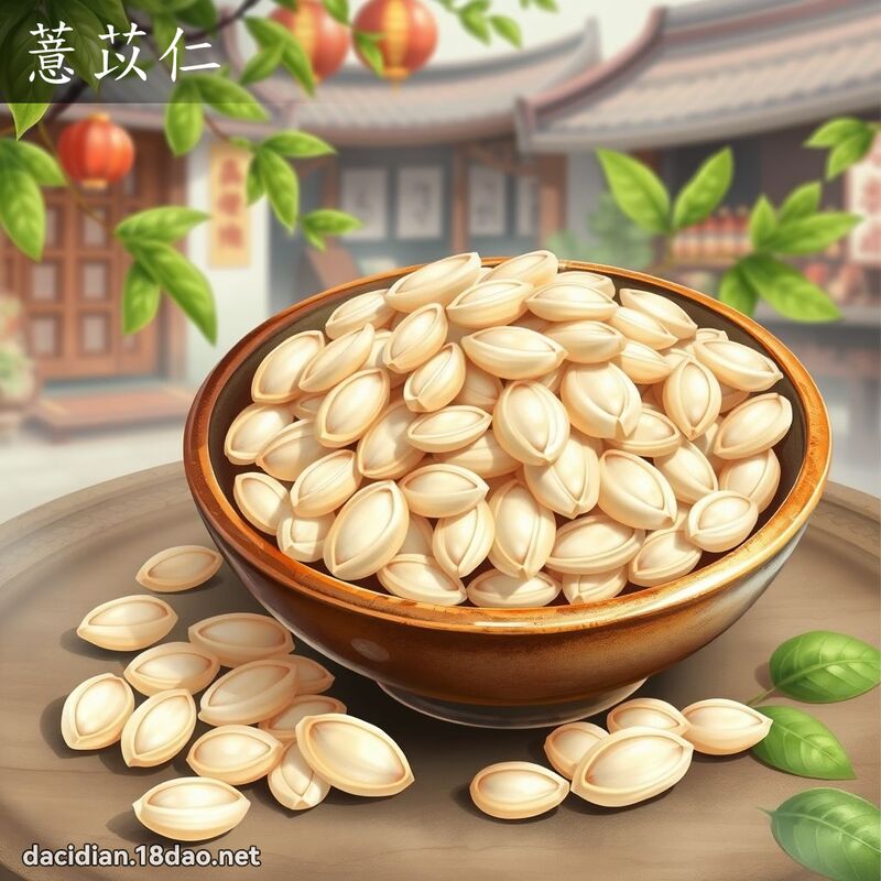 薏苡仁 - 国语大辞典配图
